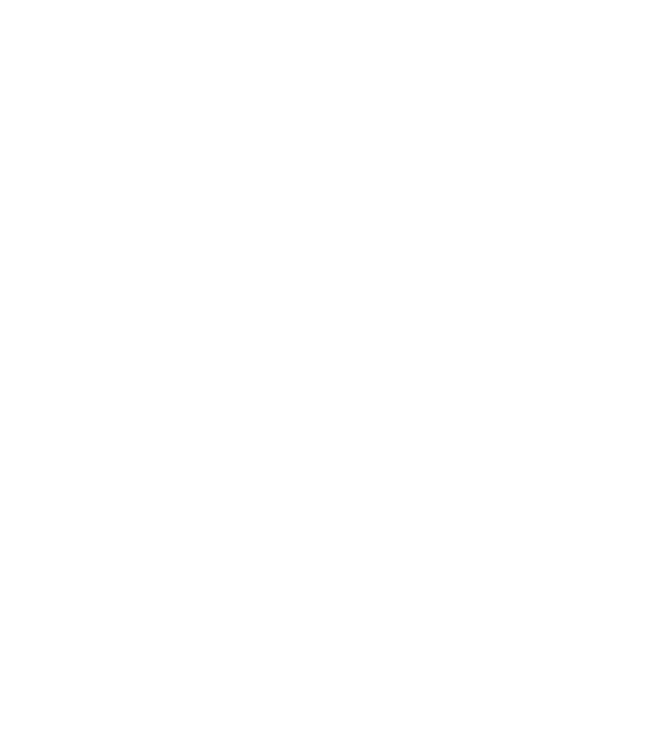 OPERA GIOCOSA